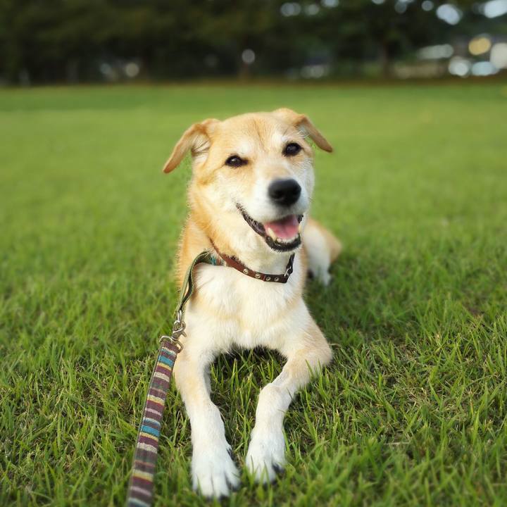 69293127 c9ea 4b61 ba45 008d398248a2