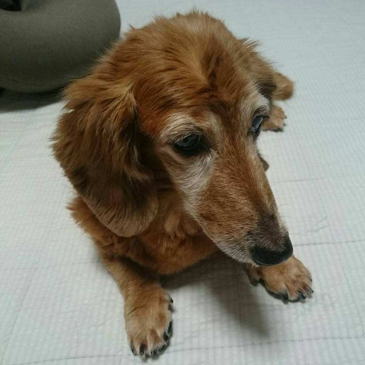 6929da11 e7f0 49be 8cf7 74625f5ae0a6