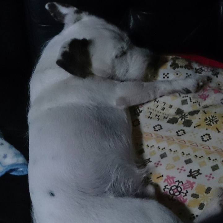 692a3a13 77af 40df b8ba fb1cd980b17a