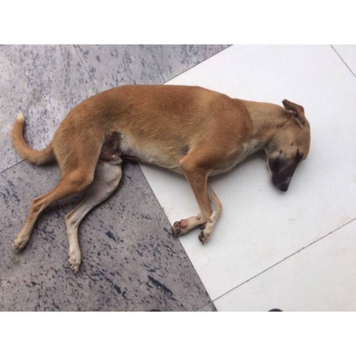 692a4280 dfdd 4759 93ae a15c226e07e2