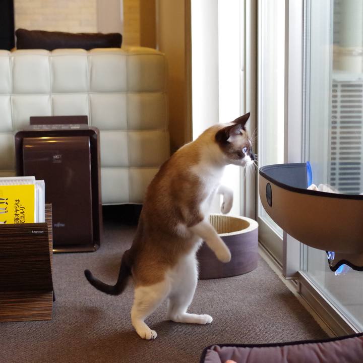 692a6ec3 03ee 479d ba4f 8d161bce0b4b