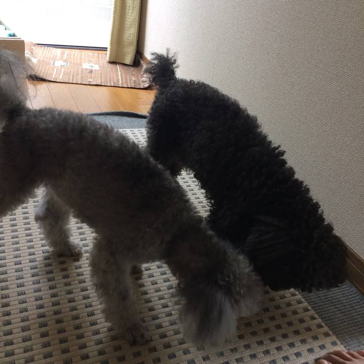 692b3a14 a4b4 4249 bb87 62d99731d106