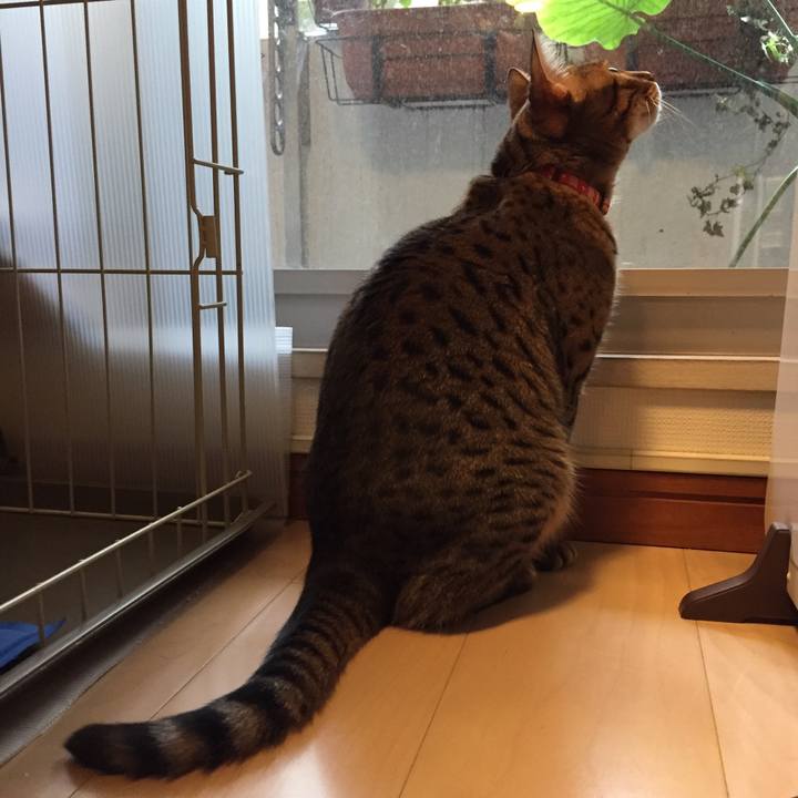 692bb1e3 24a7 4016 bb43 74e95029ea5d