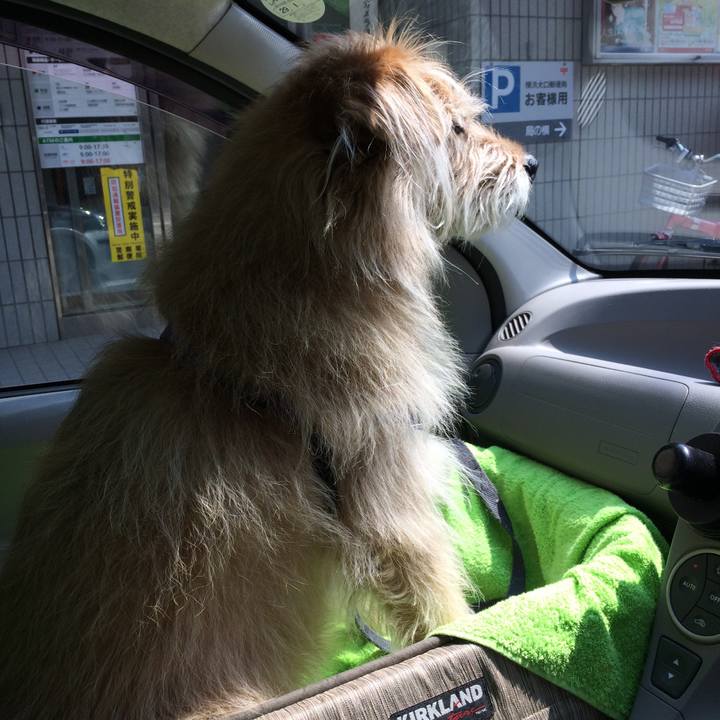 692c307c 7d8b 4e18 a4af 38cb332c0d7c