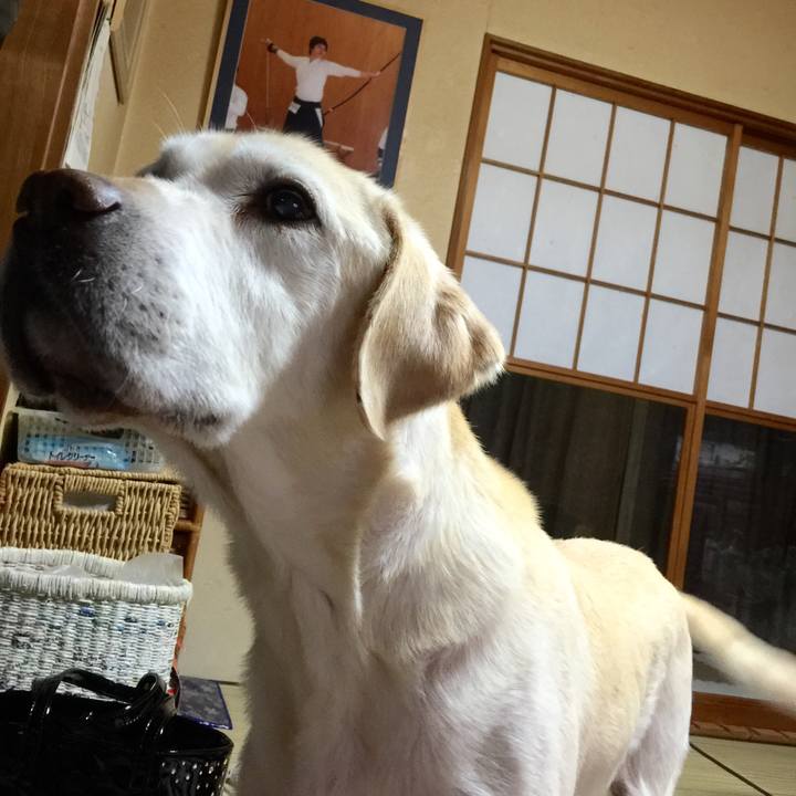 692d8d91 f72d 4405 83bf 103cc1324d50