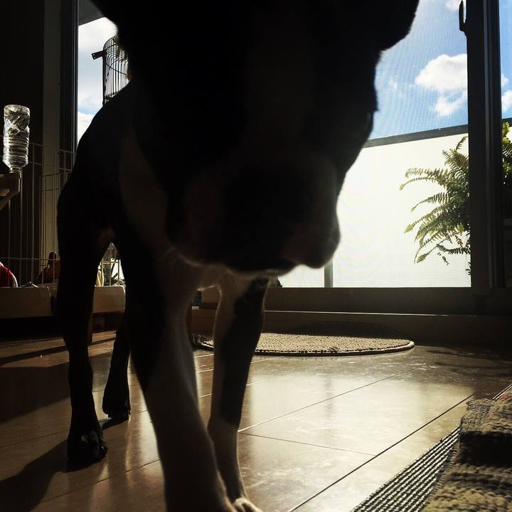 692e36aa 3e3d 42af 85a4 54b6089a4eb5