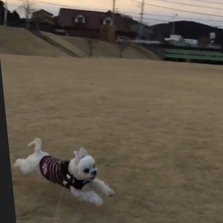 692e406d 8424 4a8a a5a9 eb2d7aec8e04