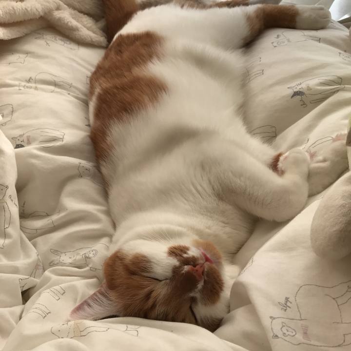 692e4ff6 1432 4f1d a183 634877e2b566