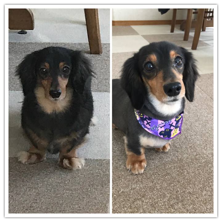 692f0269 0472 4cbe be6d 6d0b16f397e3