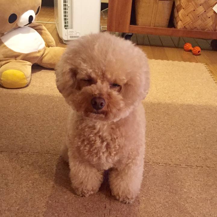 692fcb12 1f5e 41df 86b7 39a340fbedab