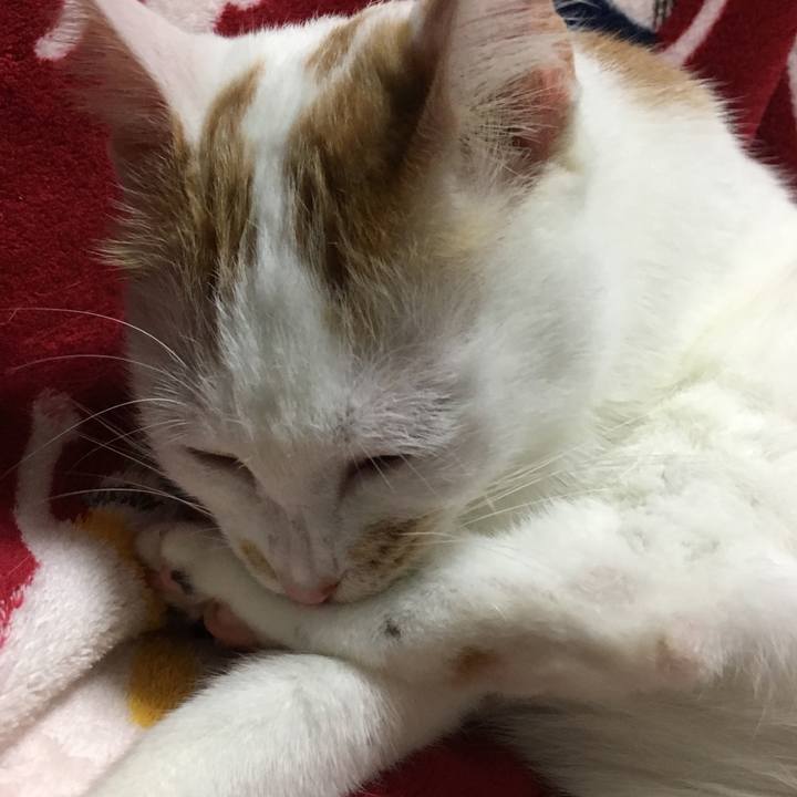 69304cad b0ec 4c5e a741 21e57eade998