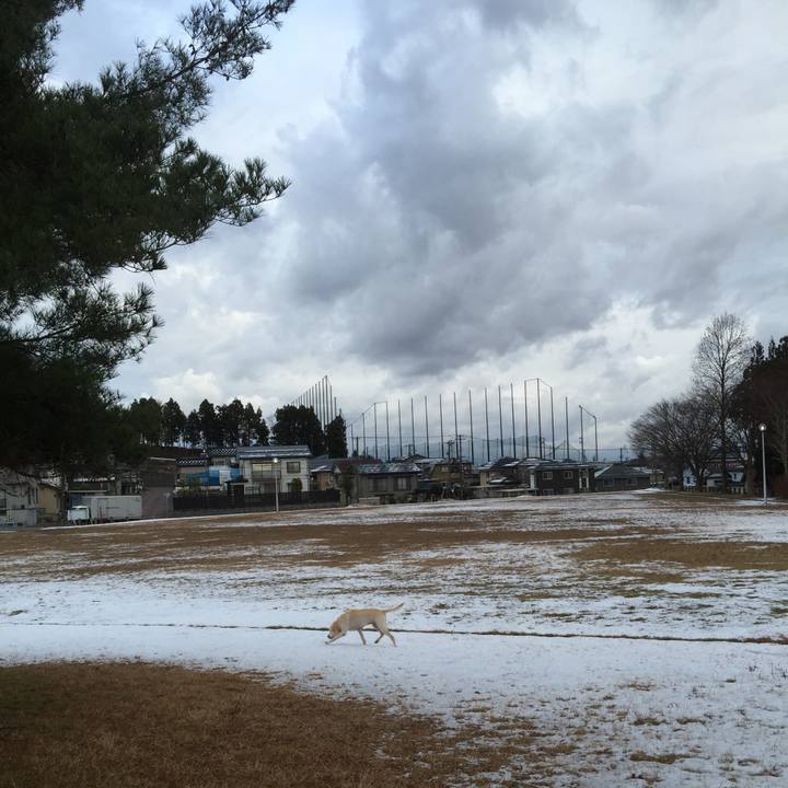 693078fe de4a 45f6 ba16 c981348daf66