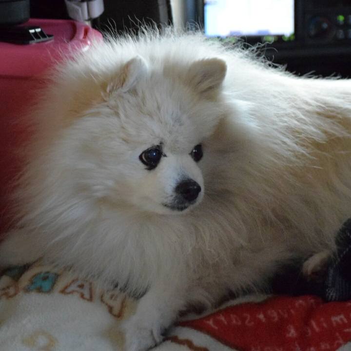 6930a303 876b 4e1b b5a0 839e96ca0d14