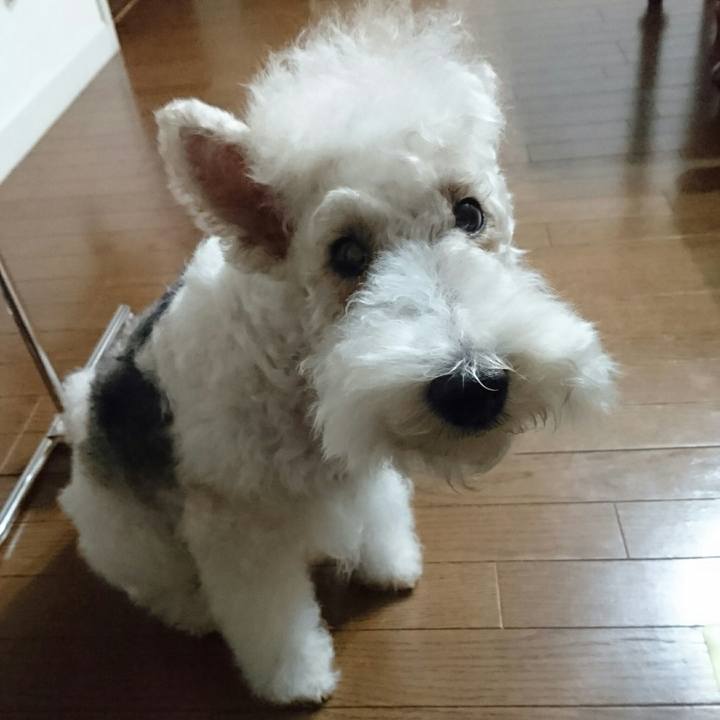 693101b6 9bcb 4a87 99f3 9aa9261cc462