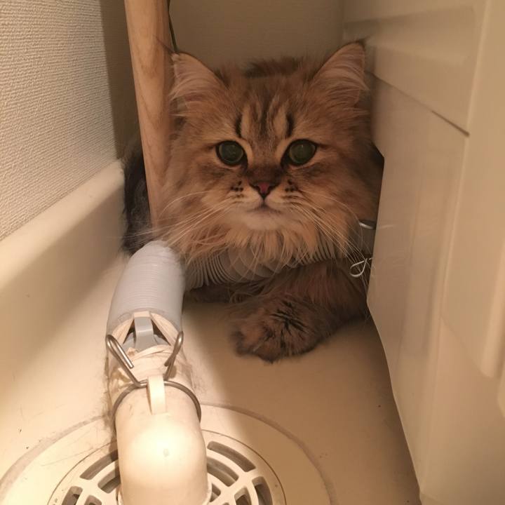 693219c5 bd60 4ff4 9b24 0db4671d62d3