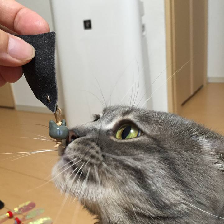 69321df1 b40d 4486 b5b9 2d37b5692c4f