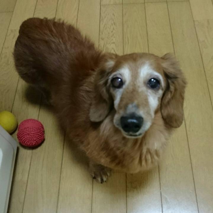 69322215 547e 4b17 b665 f938f8356d4f