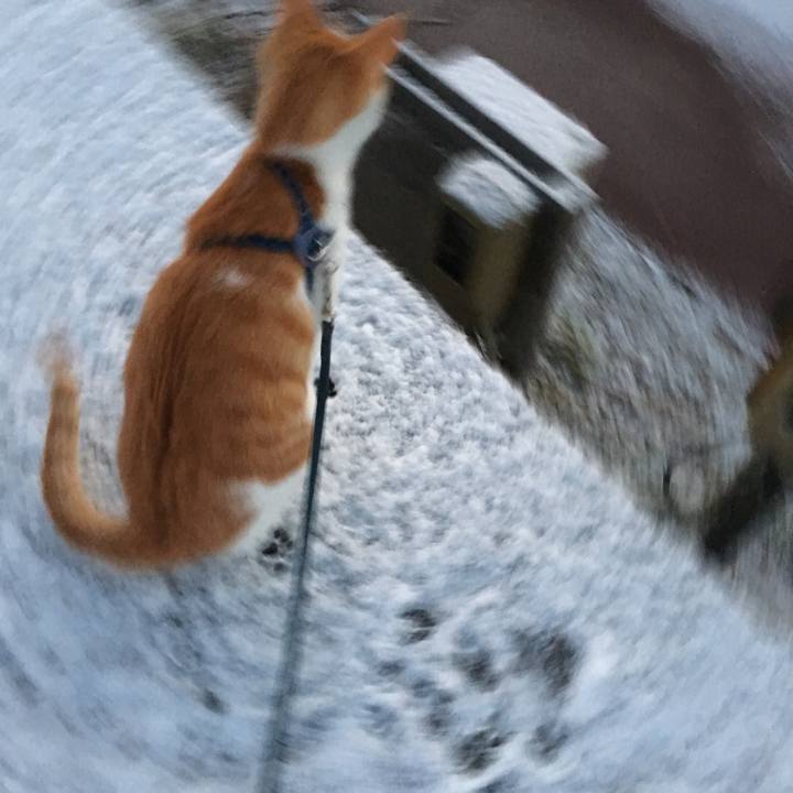 69324c02 0198 4ea4 b176 91b0c0a3abb1