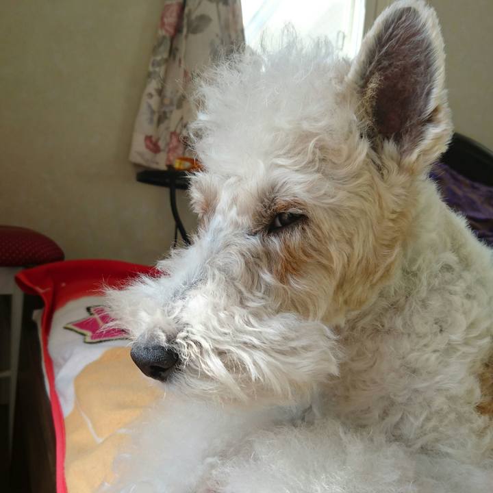 69328244 9eba 4ccc a1e4 9516608abc9a