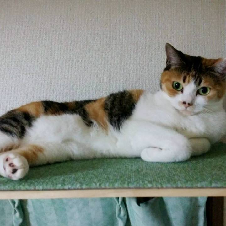 693391c8 106c 4ae6 8d4c baaefada29df