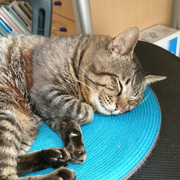 6933f3f9 7ed9 41b5 905b 701f48923b83