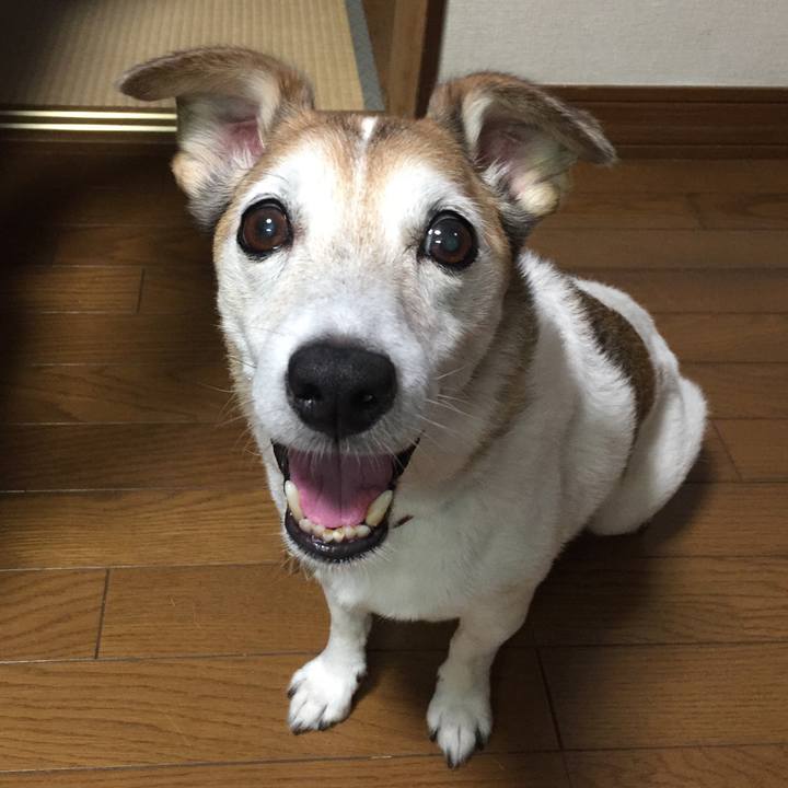 69344888 7c3f 473f b8e7 d2904520ceb6