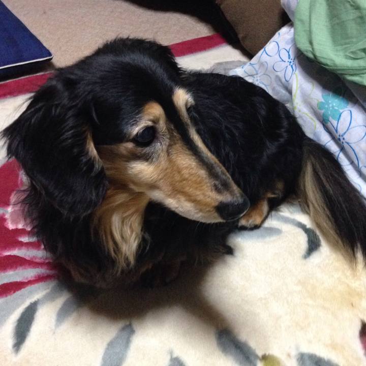 6934e4d8 2945 453a bf7d d3b98f5b8eb6