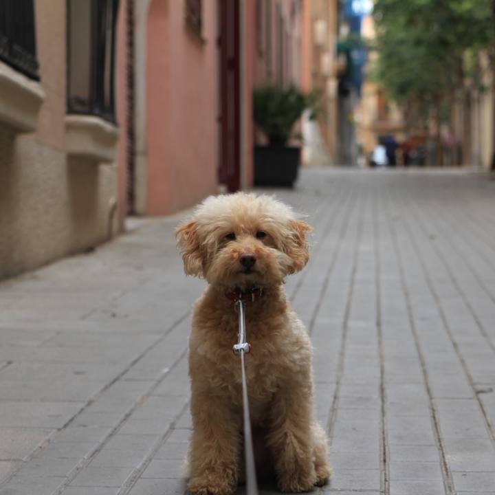 6935119f 38fd 418a 99c2 df33bd44b688