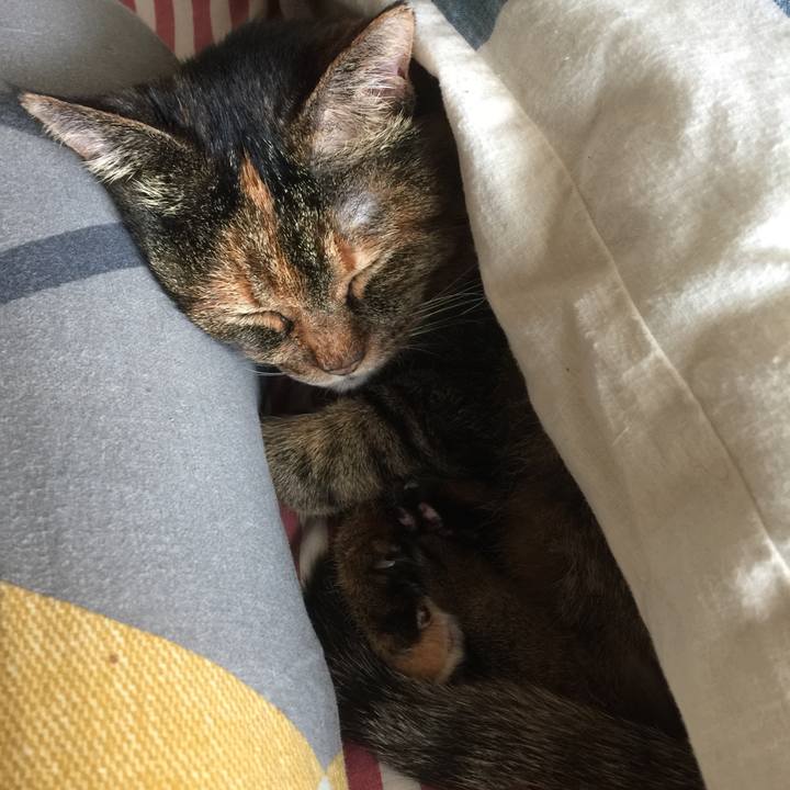 693590f3 844e 4c3b a247 dbd4e6d22159