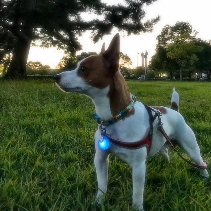 693596b2 6dd8 4a37 9cd9 3b33ea51a1a4