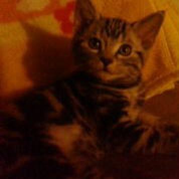 69359ae5 a3ea 44c6 8366 e5fe87fef6ca