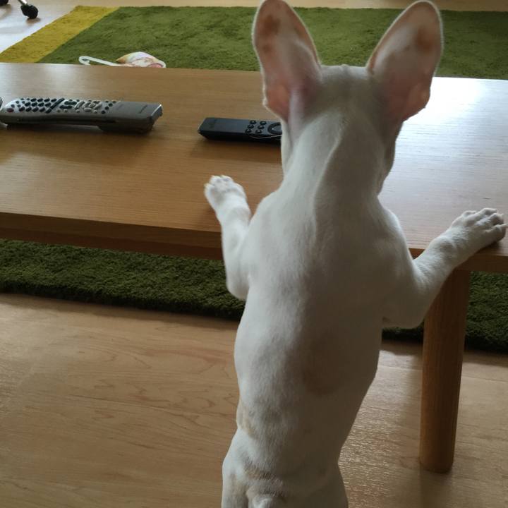 69359f0e caf7 4638 b4b0 6bb6e56f6d4d