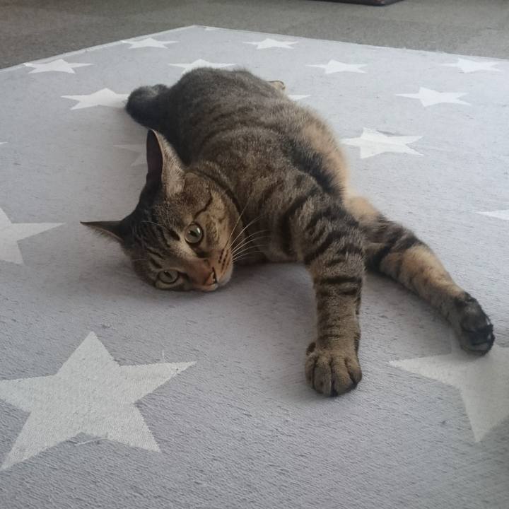 6938b502 cc28 49fd a8a8 da96beecb44c