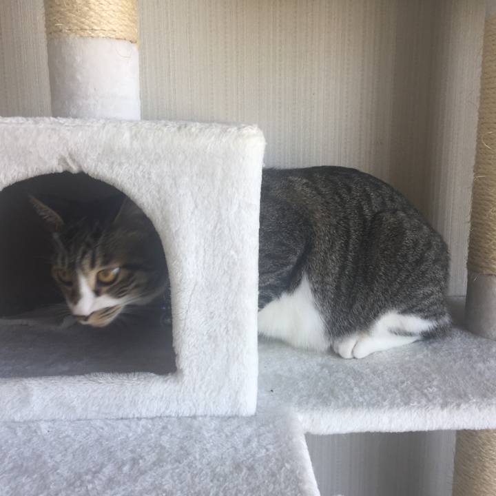 6939a065 9388 4a63 ba07 0920aaf71ee4