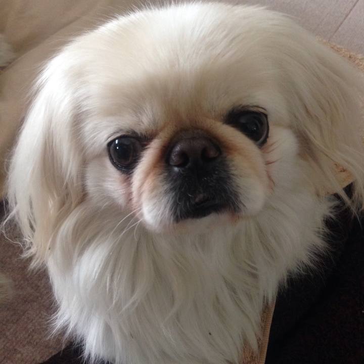 6939d5d4 ce92 4568 991c aa67591c039a