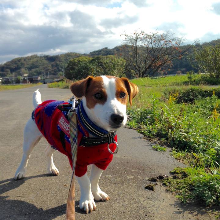 693a0871 37ea 46d3 aefa 14d7867718c0