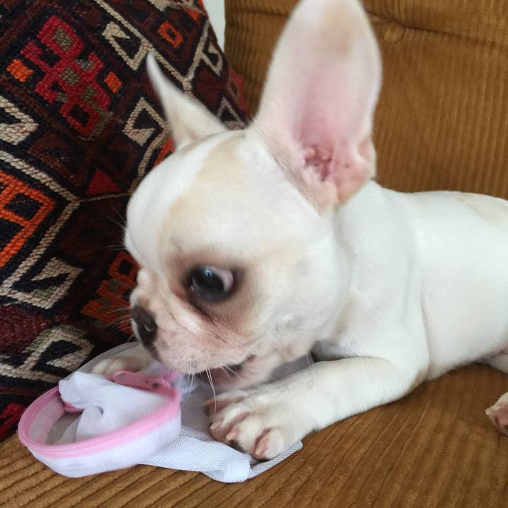 693a1565 6e93 4a61 b36f b7bc6e3251ab