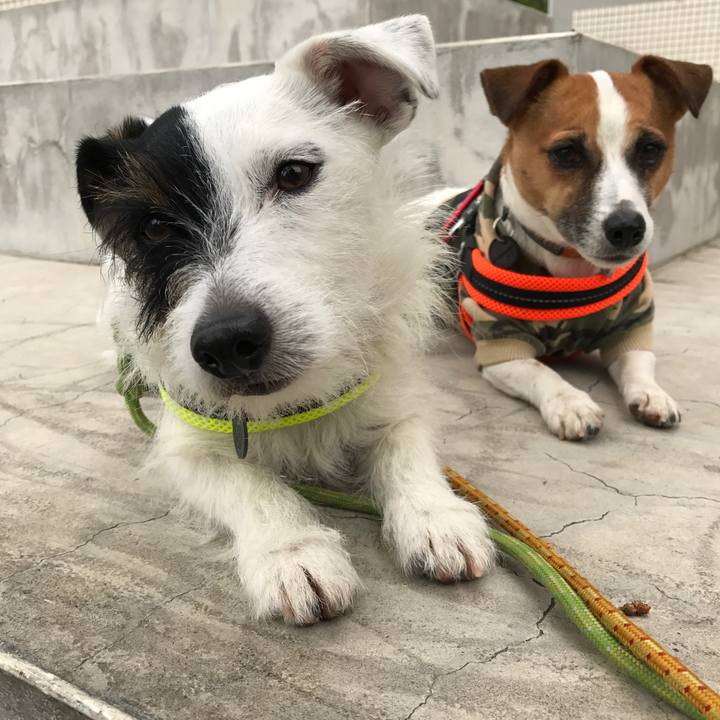 693a6749 4b3d 46e5 9a31 2979cb43572c