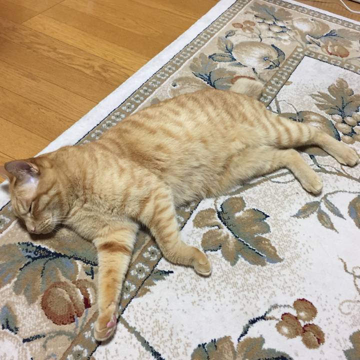 693b0b59 72b4 44d3 b199 82e74e1ac015