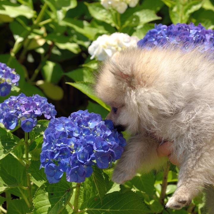 693b0c44 bd92 488f 8b60 df56cb6ba0f4