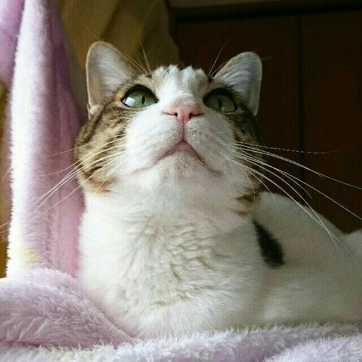 693b3e4e 9e22 4599 8fb4 bf78b3fcfa1f