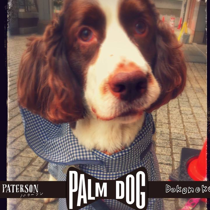 693ba9ef 22e6 4335 8ce9 95e82e0018a3