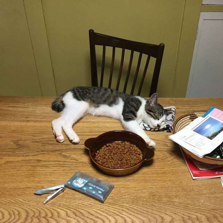 693bab2b 75b7 4204 b343 e05b30aa51d8