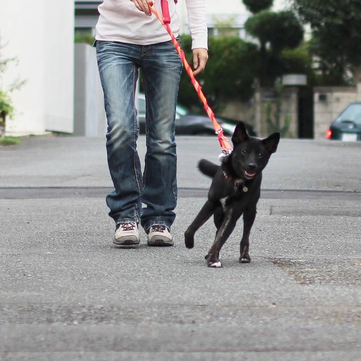 693bf391 3135 4203 9a10 1fb5d2b33620