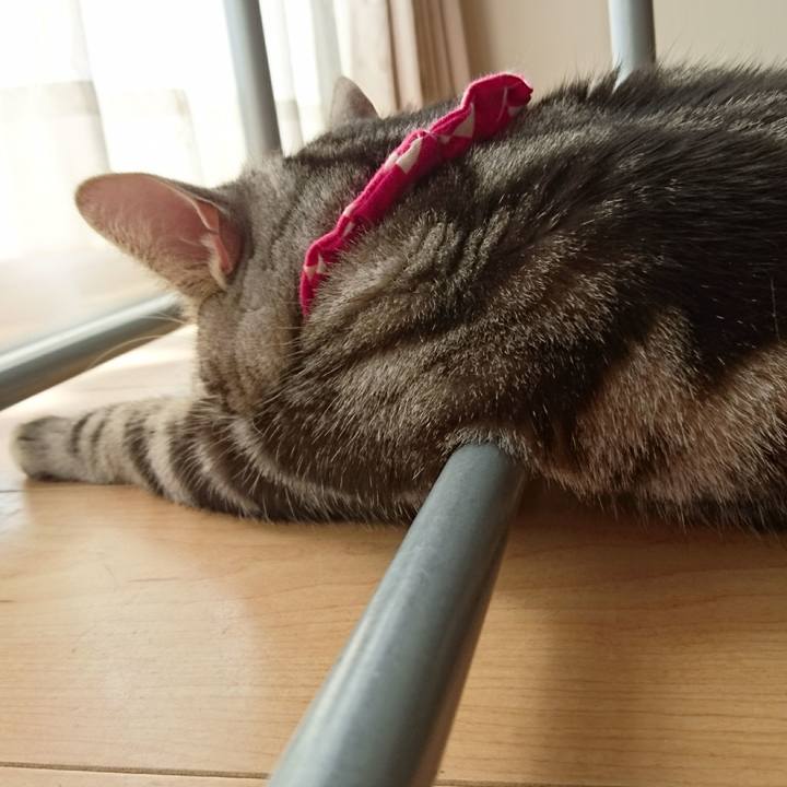 693c0580 ac87 4245 9735 15f916d7b4a2