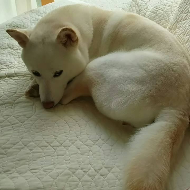 693cb509 6ace 479d 9ede ad86cf734a9c