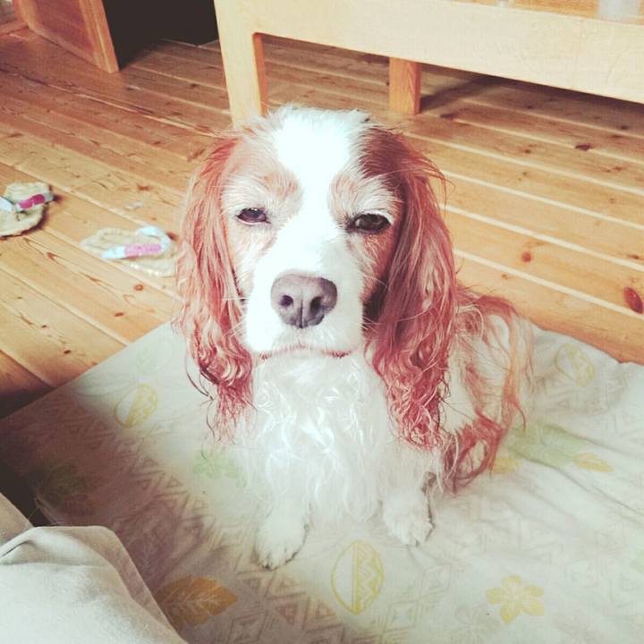 693dd729 1751 411c bb05 7f7209833963