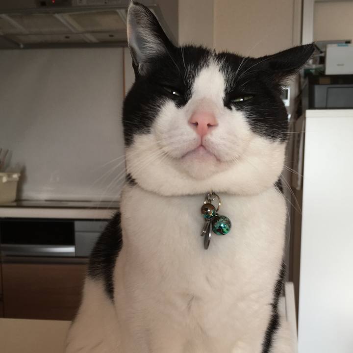 693e5472 c9c0 475a 9ce1 7a6f0a42e23d