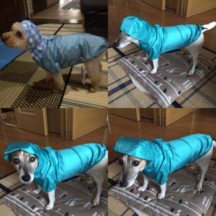 693e54ad 5bd5 4a71 8419 96777d5de850