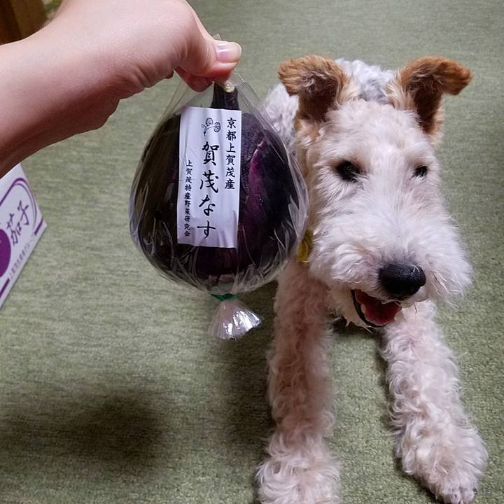 693e5d05 20dc 42ec 8b59 b91844e19947